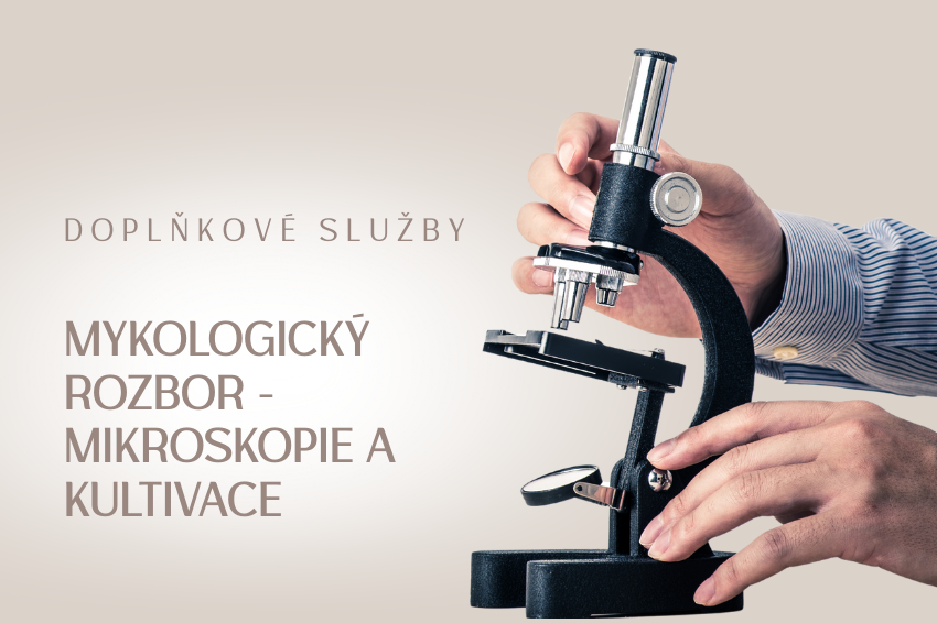 Mykologický rozbor (mikroskopie/kultivace)